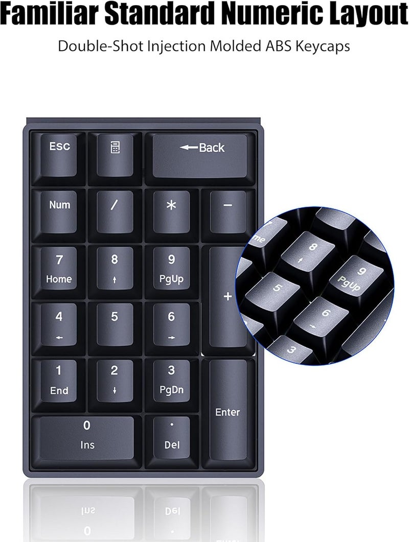 TISHLED Wired Mechanical Numpad Rainbow LED Backlit 20-Key Number Pad Brown Switches Shine Through Keycaps Detachable Cable Numeric Keyboard for PC/Laptop/Win/Mac, White - Image 3